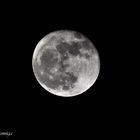 Buona notte con la luna di Parma, Italia.