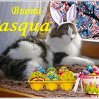 Buona Pasqua 2022 a tutti i Gattofili di Fotocommunity