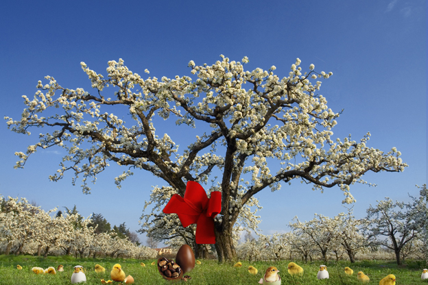 BUONA PASQUA A TUTTI