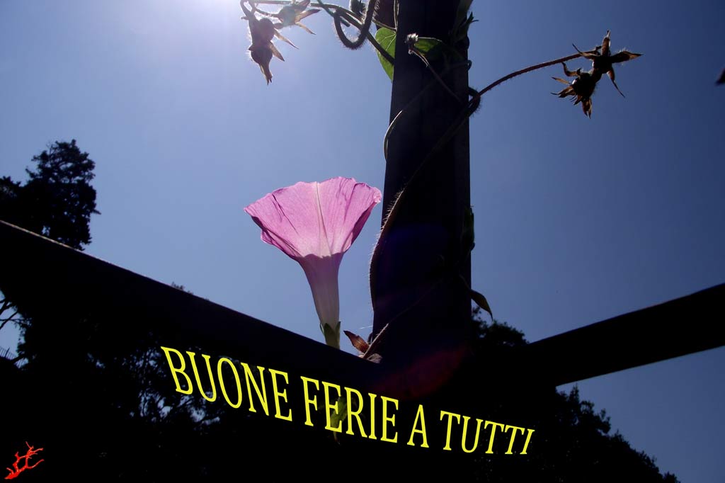 Buone ferie......