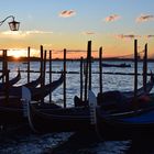 Buongiorno in Venedig