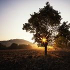 Buongiorno Toscana