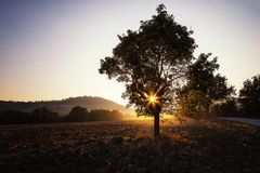 Buongiorno Toscana