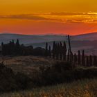 ~ Buongiorno Toscana! ~