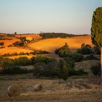 Buongiorno Toscana II