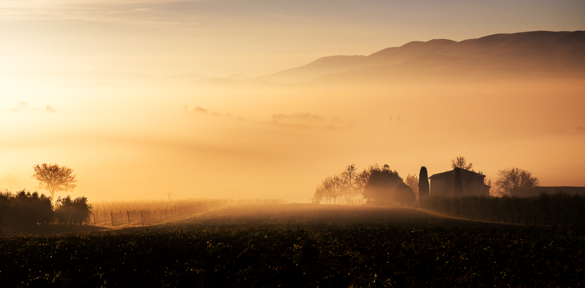 Buongiorno Umbria 2016 II