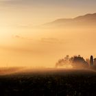 Buongiorno Umbria 2016 II