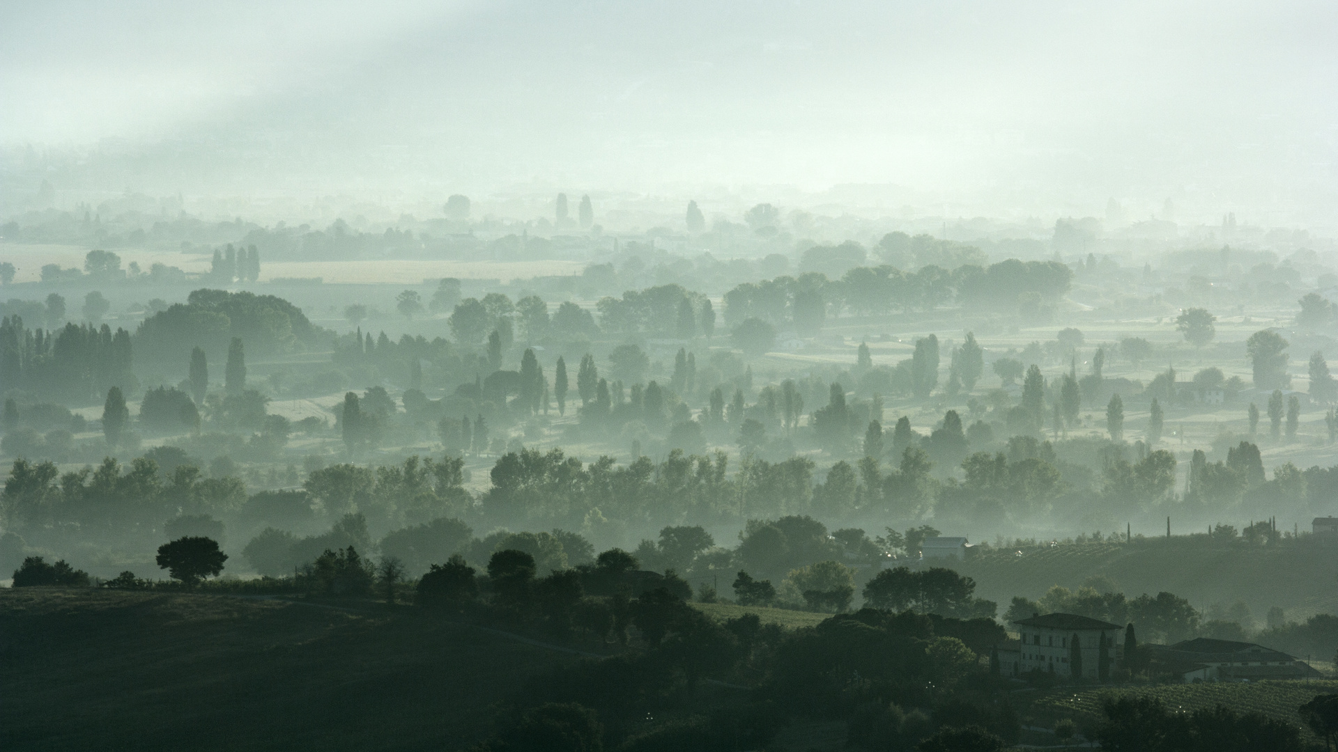 Buongiorno Umbria II