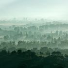 Buongiorno Umbria II