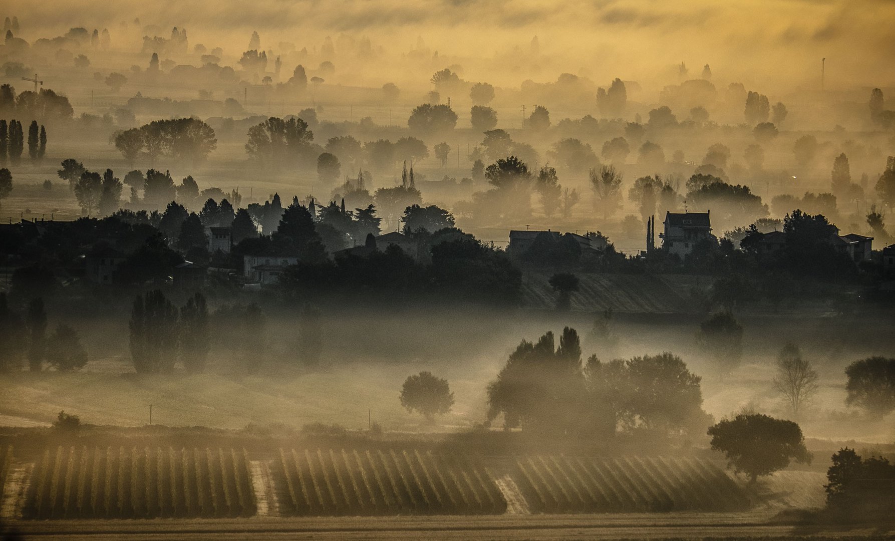 Buongiorno Umbria XI