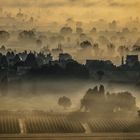 Buongiorno Umbria XI