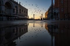 buongiorno venezia