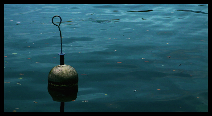 Buoy