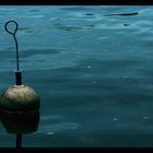 Buoy