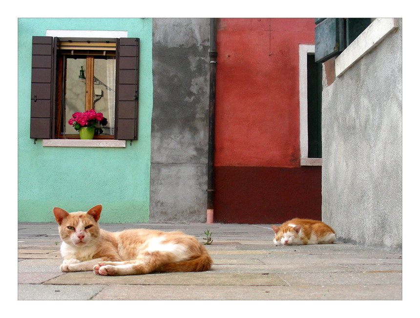 Burano #1