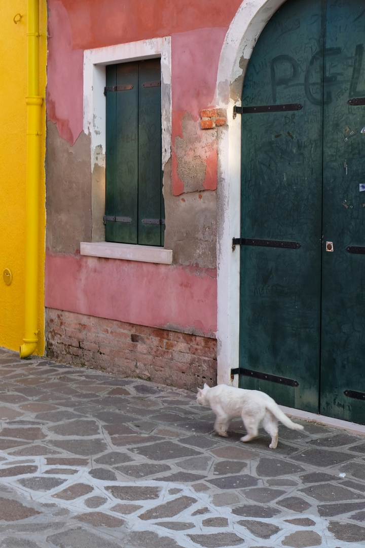 Burano (3)