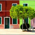 Burano (5)