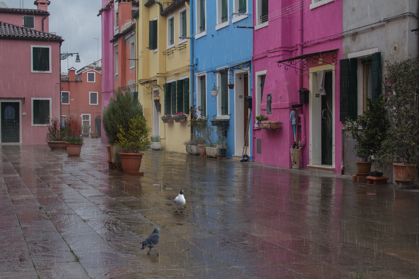 Burano