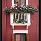 Burano-Fenster