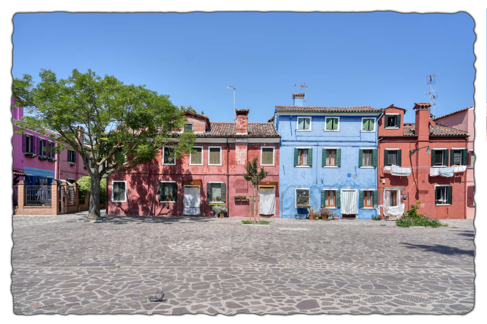 "Burano Marketplace"