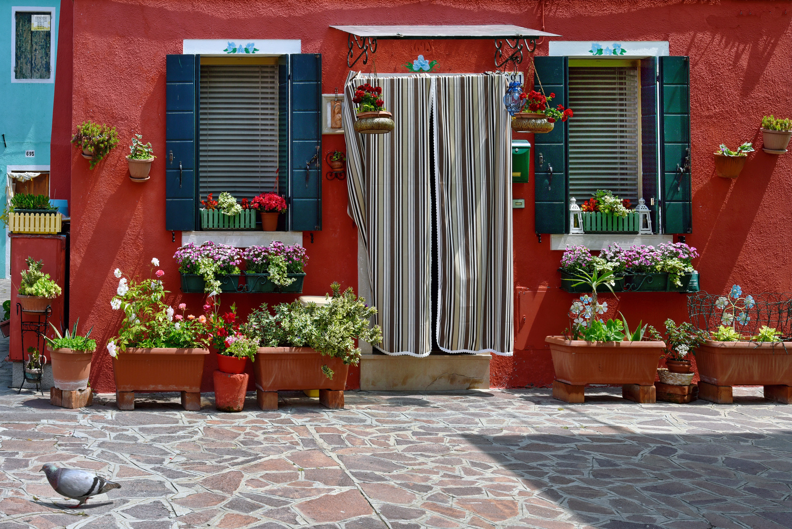 BURANO - Nicht ohne Taube -