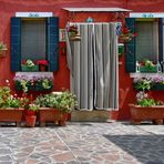 BURANO - Nicht ohne Taube -