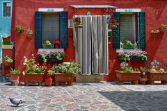 BURANO - Nicht ohne Taube -