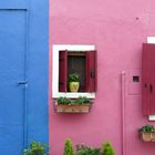 Burano-Wandfarben5