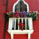 burano window