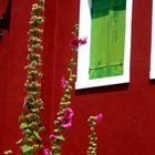 Burano,un village de pêcheur