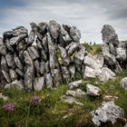 Buren - Irlande - 2019