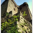 Burg Alt-Eberstein 2