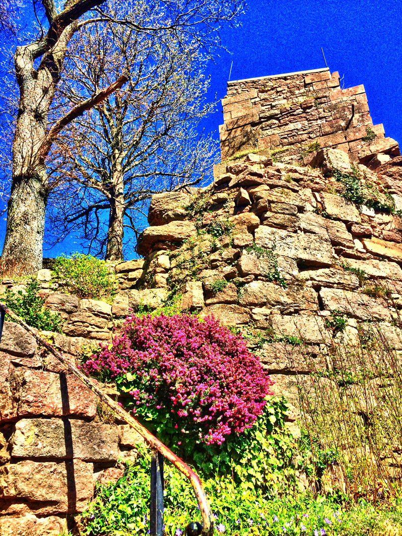 Burg Alt Eberstein