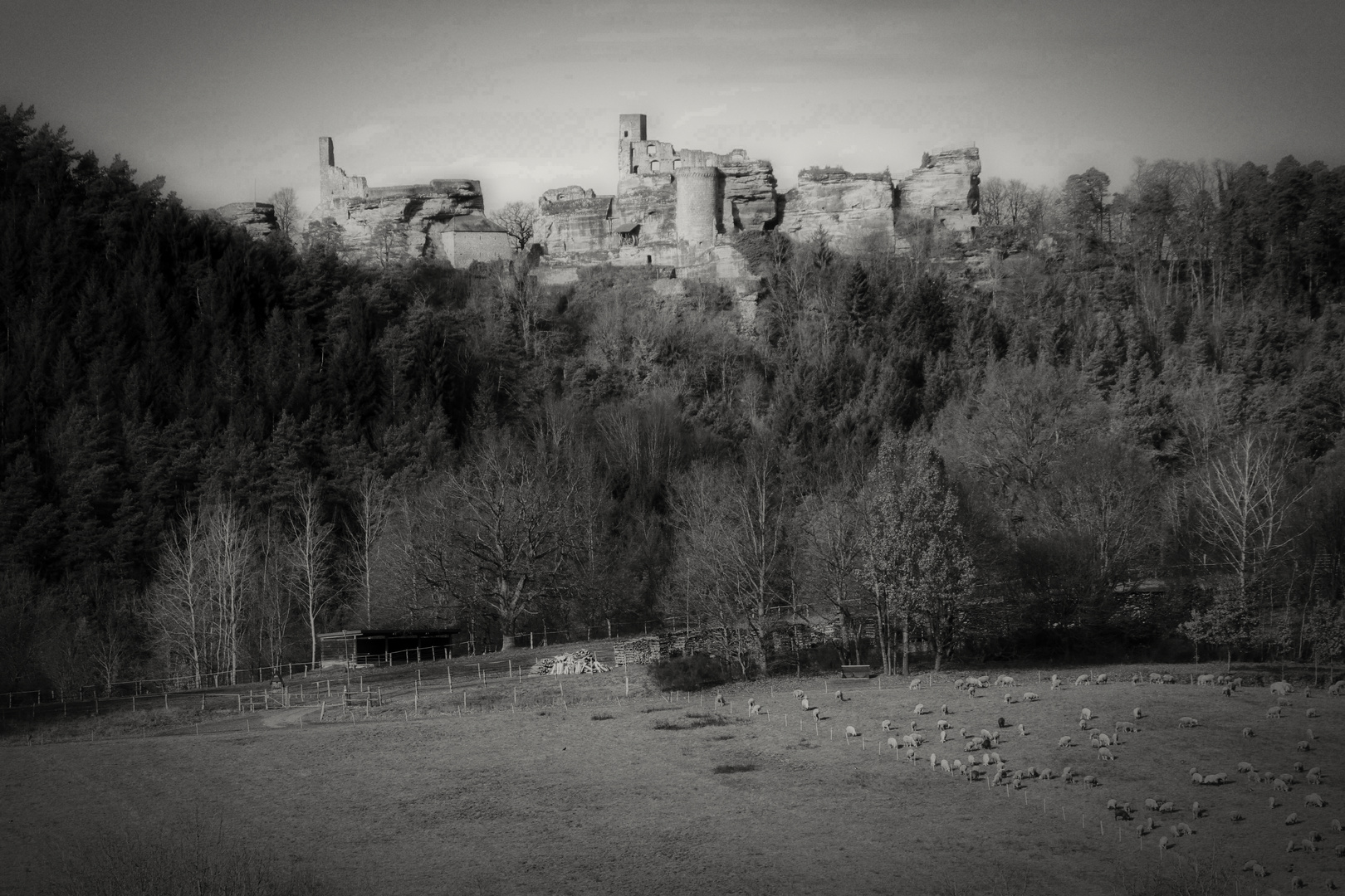 Burg Altdahn im Januar 2016 in SW bearbeitet