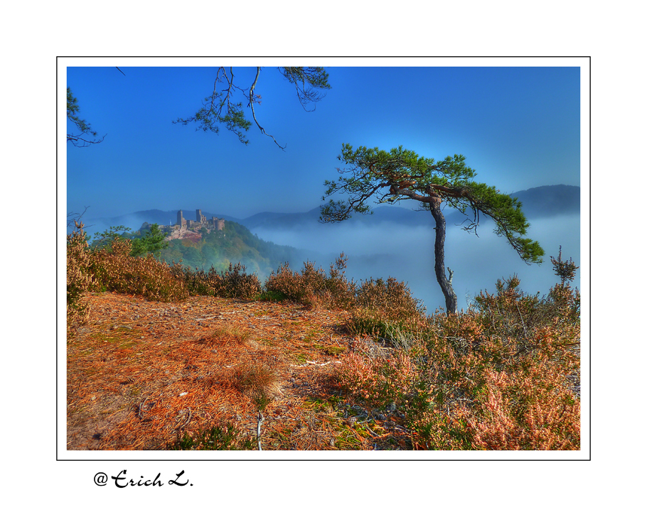 Burg Altdahn im Nebel