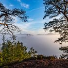 Burg Altdahn im Nebel