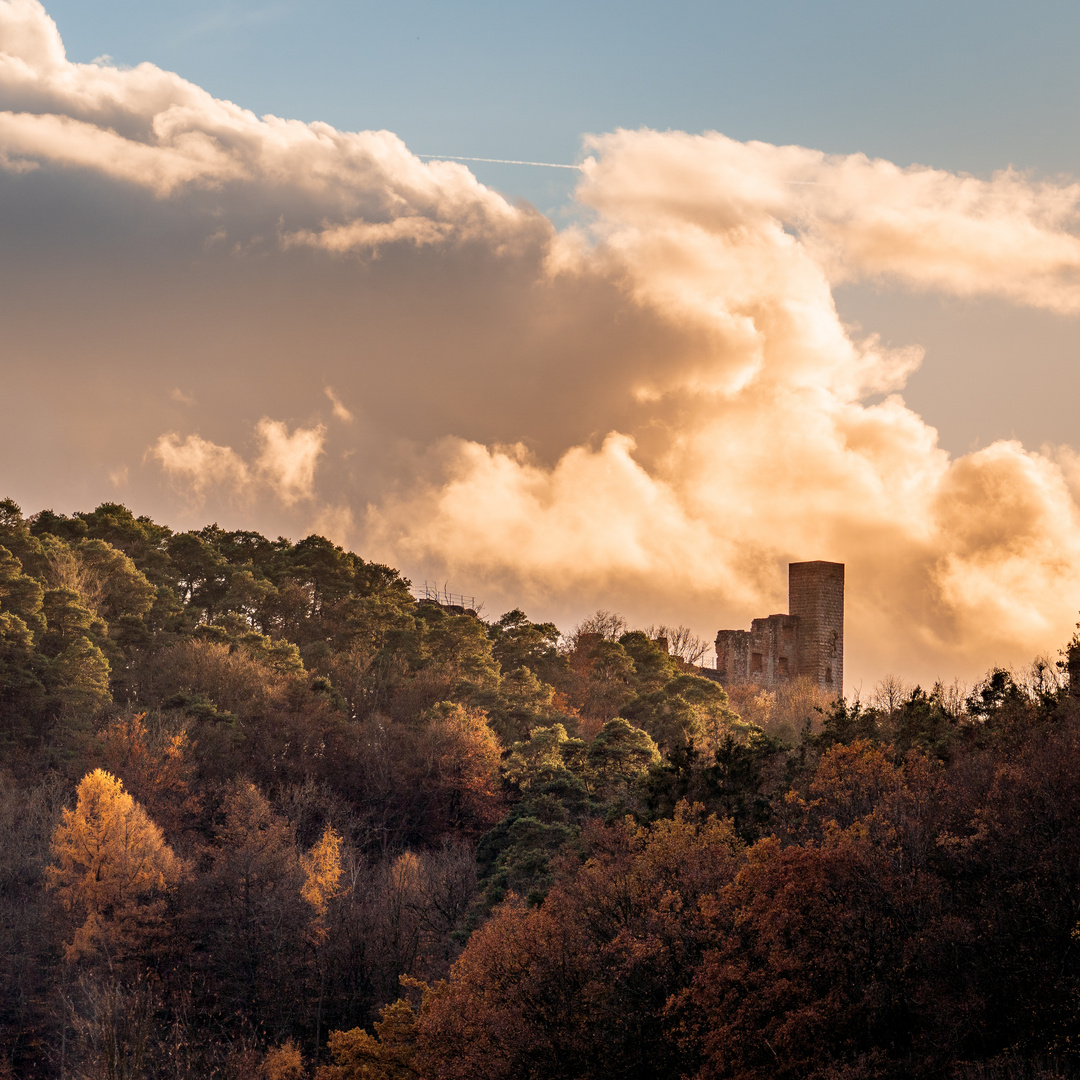 Burg Altdahn im späten Abendlicht