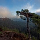 Burg Altdahn//Pfalz