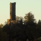 Burg Altenburg im Abendlicht