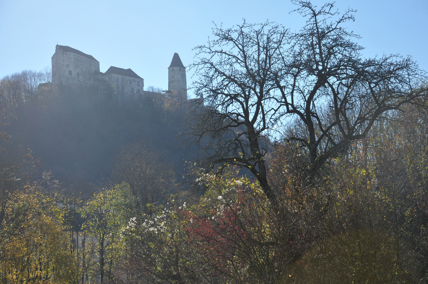 Burg am Berg