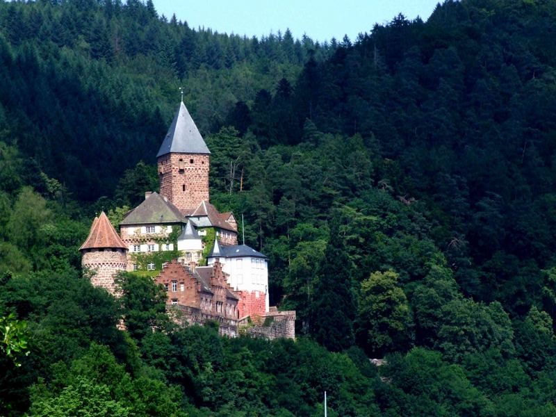 Burg am Neckar