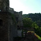 Burg am Rhein