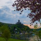 Burg an der Mosel 1