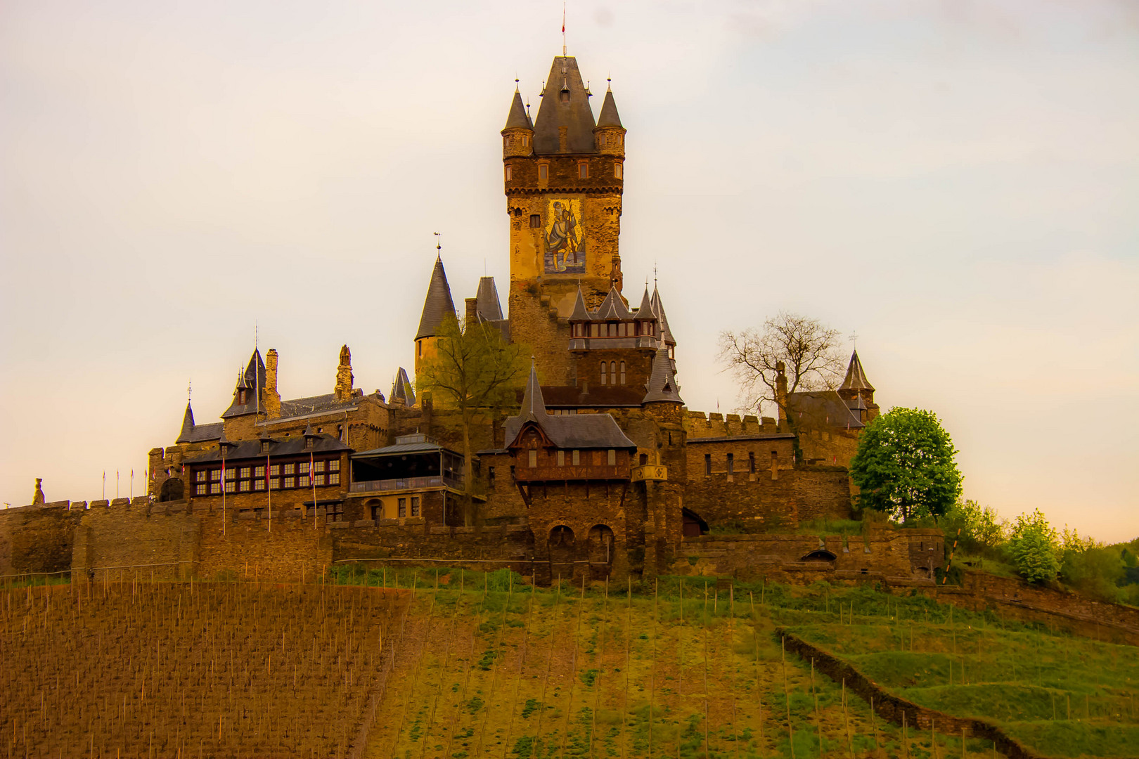 Burg an der Mosel 2