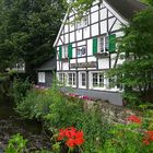 Burg an der Wupper