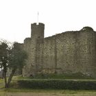 Burg Ardeck Holzheim