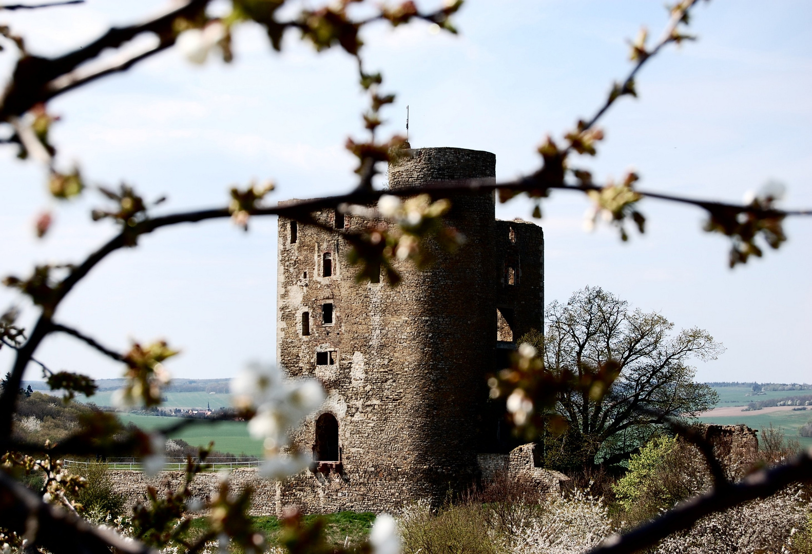 Burg Arnstein (2)