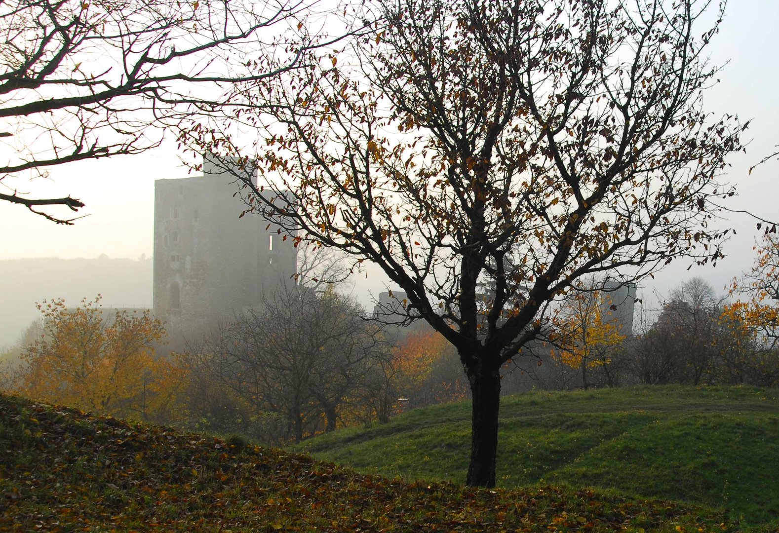 Burg Arnstein im Herbstnebel