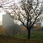 Burg Arnstein im Herbstnebel