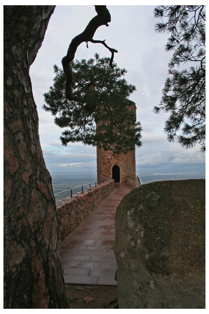 Burg Auerbach